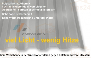 Lichtplatten PC mit Hitzeschutz Trapezprofil 
